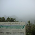 強い霧の中の看板
