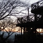 夕日と木の展望台