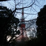 木に隠れた東京タワー